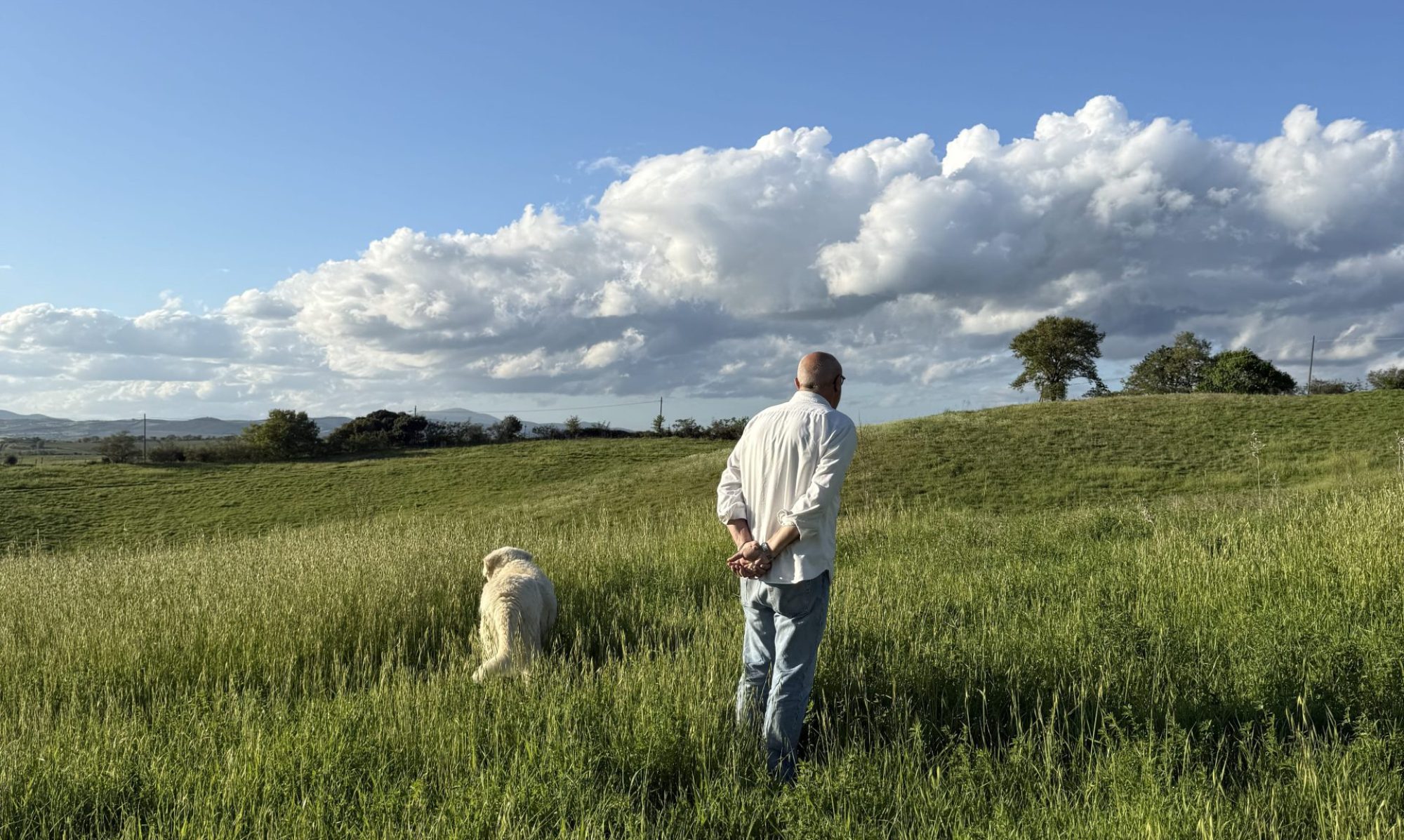 un uomo e un cane guardano l'orizzonte